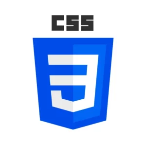 CSS